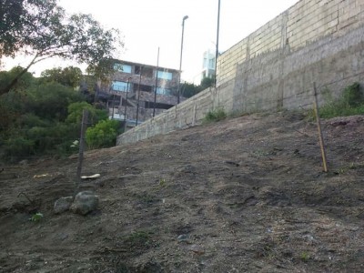 Terreno