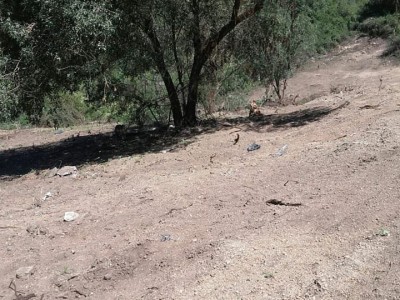 Terreno