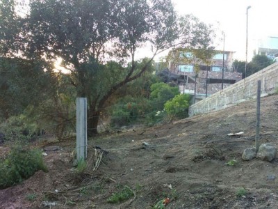 Terreno