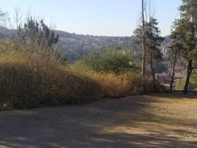 Terreno