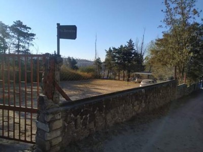 Terreno
